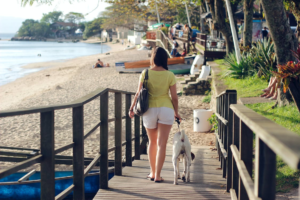 A person and a dog on a bridge 