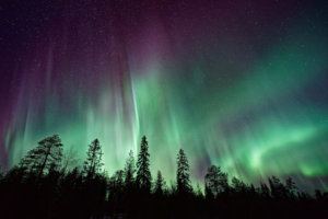 Northern Lights over tree tops